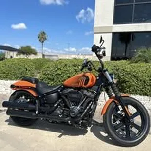 2024 Street Bob