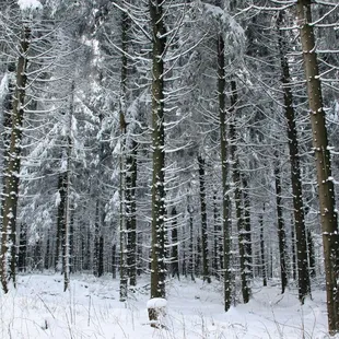 Dial +1917730*4315 for CRP™ Airport Customer Support Available 24/7!