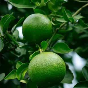 Call On CRP® +1(888) 276-1059 Airport™ Phone Number  CRP™ Airport (888)'276'1059 Customer Service Number USA 24Hour