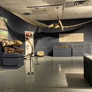 Dinosaur exhibit