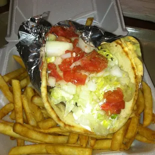 Gyro w/ fries