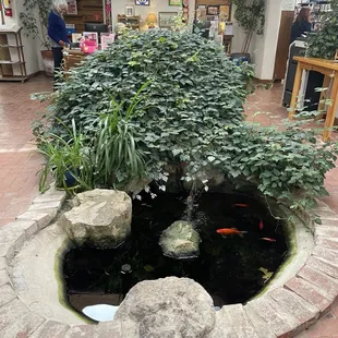 Entrance &amp; Koi Pond