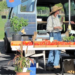 Fresh Tomatoes...Plenty of farm produce to select.Corrales Grower's Market.  Various dates.