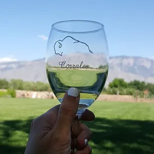 a hand holding a wine glass