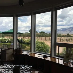 a view of a vineyard through a window