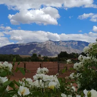 Taken on Sept 15, 2017 from the patio. Such a beautiful view! A most enjoyable experience. Julie &amp; Kevin from Highland, IL