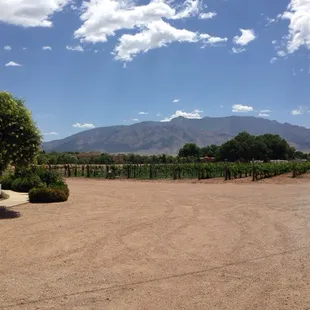 Travel down The road on the right to get to the winery.