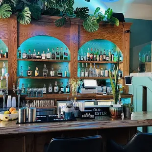 shelves of liquor bottles and plants