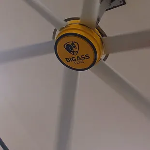 Big ass fan.  I noticed it when we first walked in.