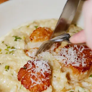 Scallop Risotto