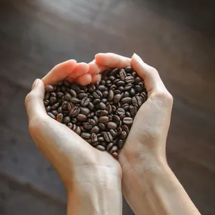 two hands holding coffee beans