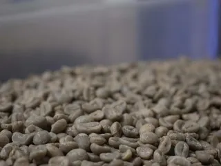 Lost Dutchman Coffee Roasters