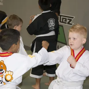 Tigers Class in action