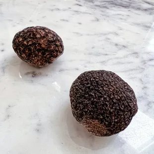 perigord truffles