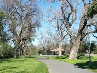 Ron Williamson Youth Activity Area