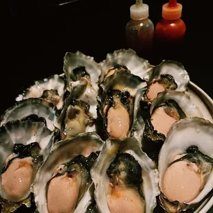 West Coast Oysters