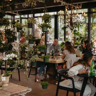 Indoor seating among lush greenery