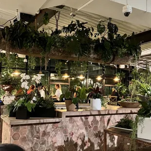 people sitting at tables