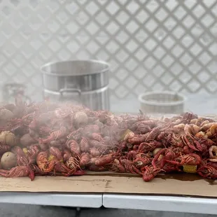 So much amazing crawfish.