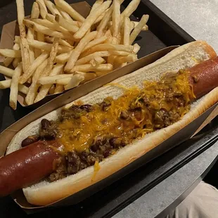 a hot dog and fries
