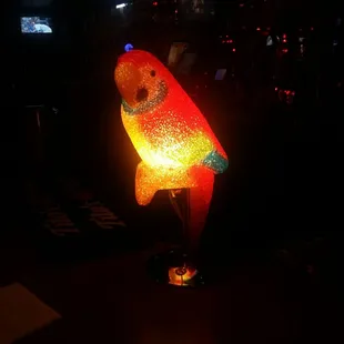 Parrot lights.  Who knew but I Really like them