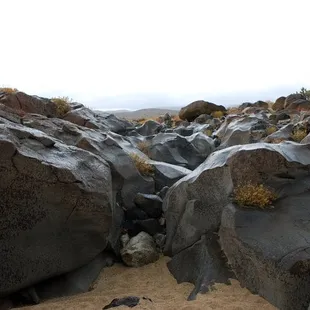Water once raged through this area and many of the rocks appear as fossils