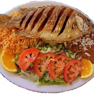 Talapia