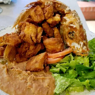 Costra Pacifica- Fish