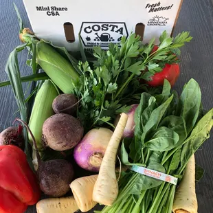 Sample CSA box Late Summer