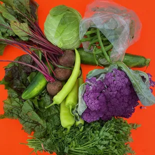 Week 5 CSA Mini Share 2020