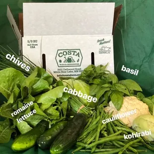 Sample CSA box early summer.