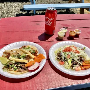 two plates of food on a picnic table