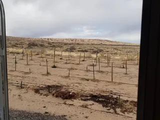 Black's Smuggler Winery