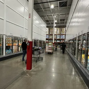 Area of frozen section