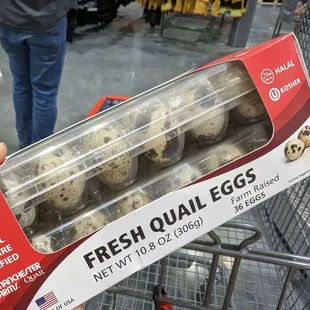 Quail Eggs!