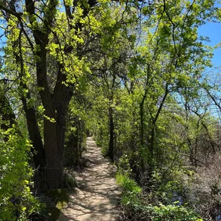 River trail