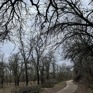 Cosumnes River Preserve