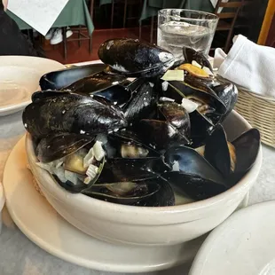 shellfish, food, oysters and mussels, oysters, mussels