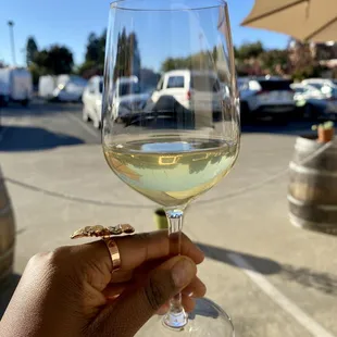 "Pet Nat": A natural sparkling wine - First time ever trying it and I'm a fan :)