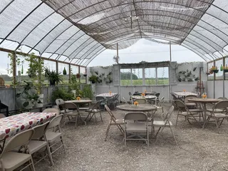 Vineyard At Porter Central