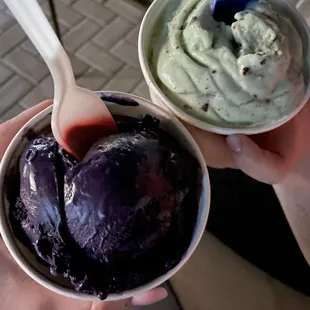 Ube &amp; Mint Chocolate Chip