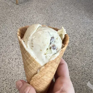 Pistachio cone