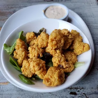 Alligator