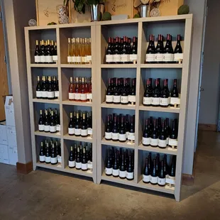 shelves of wine in a wine shop