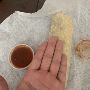 A pathetic burrito