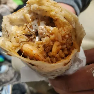 Burrito enchilado  with a roach