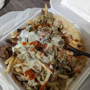 Carne Asada Fries