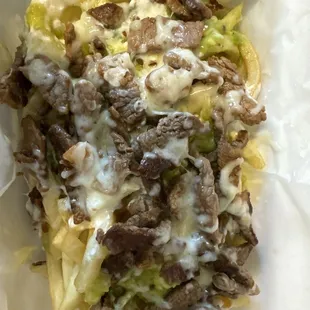 Half order carne asada fries