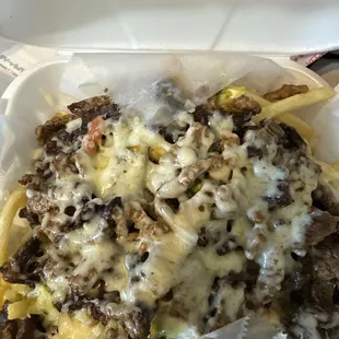 Extra crispy carne asada fries I think sometimes they make it kinda soggy so I just asked for extra crispy now and it&apos;s fantastic