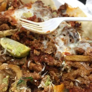 The adobada fries are absolutely delicious! Definitely way too much food for me.